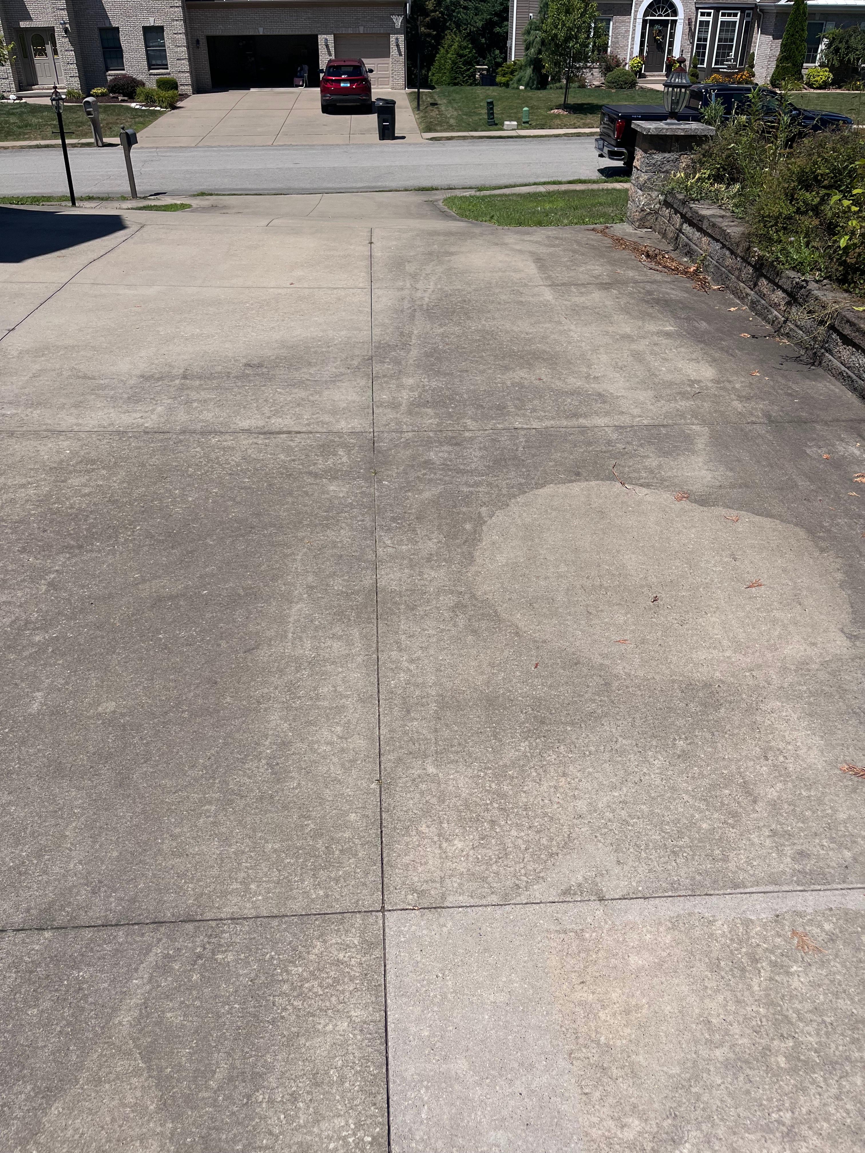 Before: Driveway Cleaning
